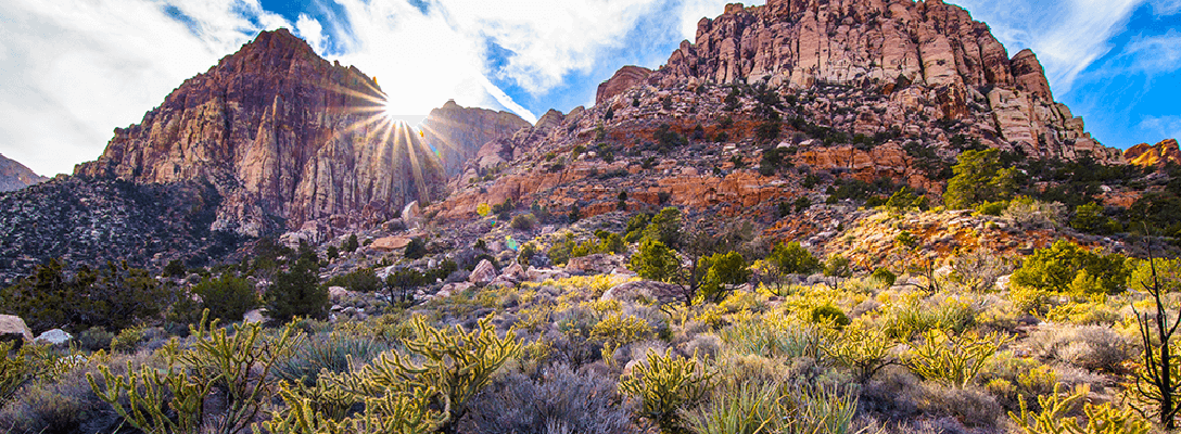 Red Rock Canyon Near Las Vegas