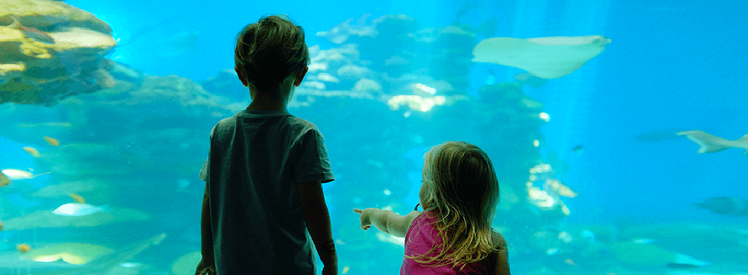 Kids Looking at Aquarium in Las Vegas