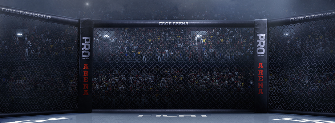 Arena for Professional MMA Fighting