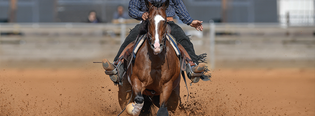 Cowboy Riding Horse at NFR Las Vegas