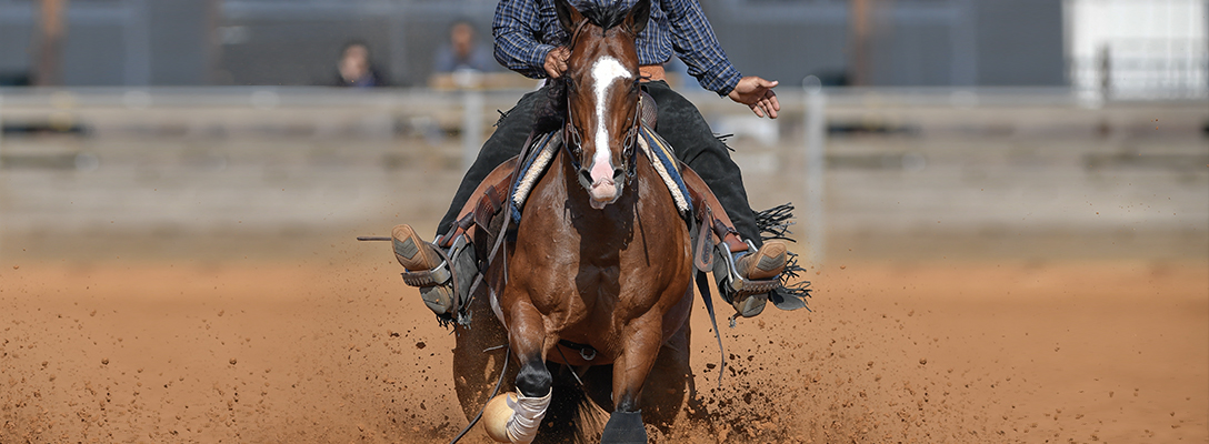 6 Ways to Find Old Western Culture in Vegas