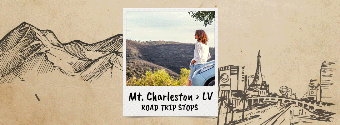 Mt. Charleston to Las Vegas Drive Stops