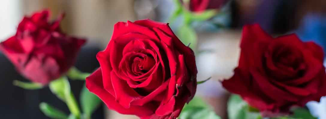 Roses for Valentine's Day in Las Vegas